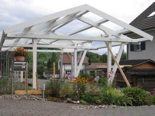 Neubau Carport